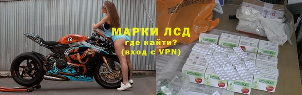 СК Абинск