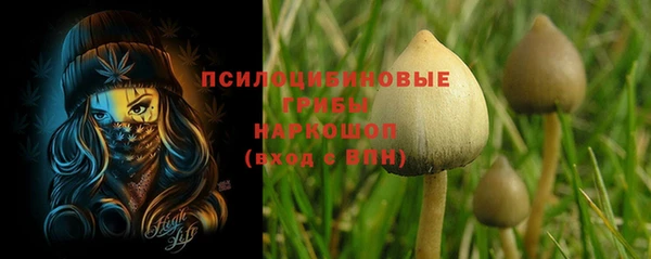 СК Абинск