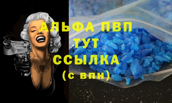 СК Абинск