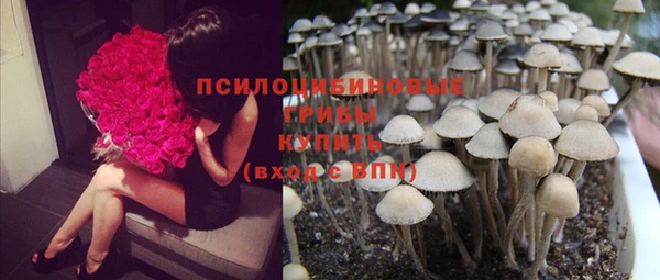 COCAINE Абаза