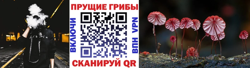 Псилоцибиновые грибы мухоморы  ОМГ ОМГ как зайти  Краснодар 