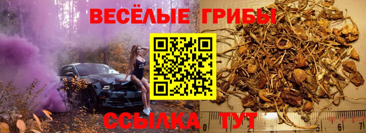 Псилоцибиновые грибы Magic Shrooms Краснодар