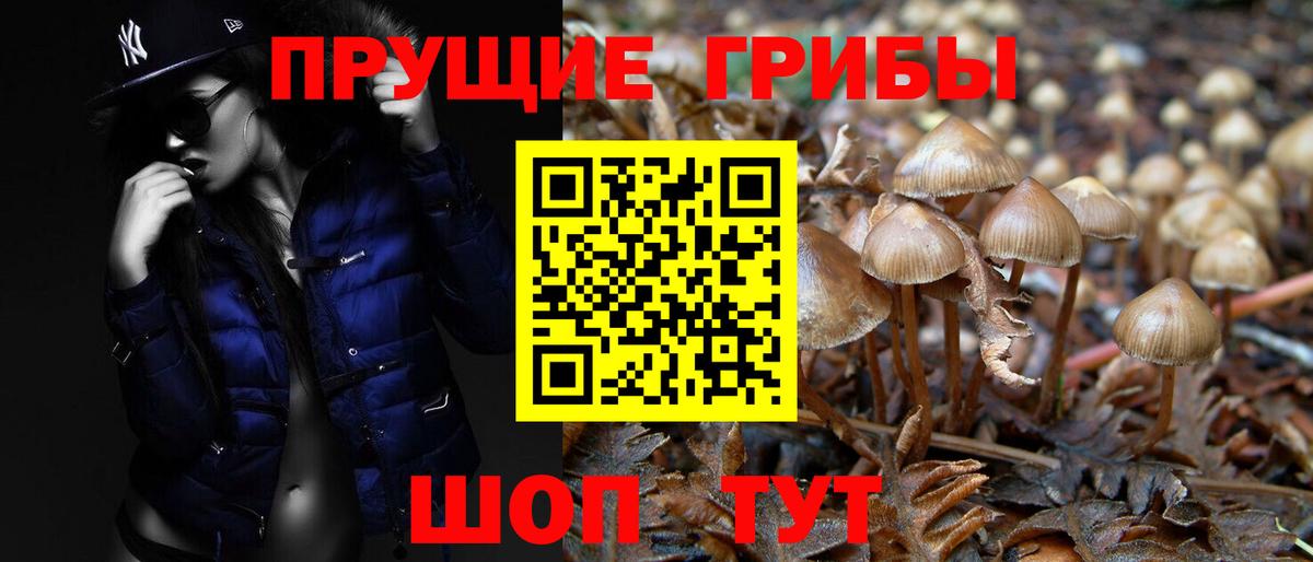 Краснодар  Псилоцибиновые грибы Psilocybe  Вход с VPN  Псилоцибиновые грибы Psilocybine cubensis 